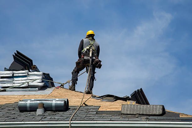 Professional Roofing technician working in Eastlake Weir, FL